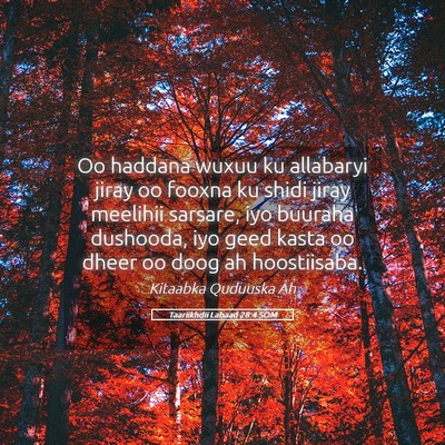 Picture 05 - Taariikhdii Labaad 28:4 SOM - Oo haddana wuxuu ku allabaryi jiray oo fooxna ku - Bible Verse Picture