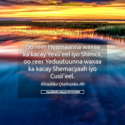 Picture 05 - Taariikhdii Labaad 29:14 SOM - Oo reer Heemaanna waxaa ka kacay Yexii'eel iyo - Bible Verse Picture
