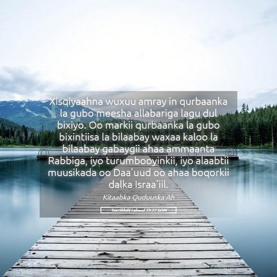 Picture 05 - Taariikhdii Labaad 29:27 SOM - Xisqiyaahna wuxuu amray in qurbaanka la gubo - Bible Verse Picture