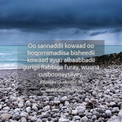 Picture 05 - Taariikhdii Labaad 29:3 SOM - Oo sannaddii kowaad oo boqornimadiisa bisheedii - Bible Verse Picture