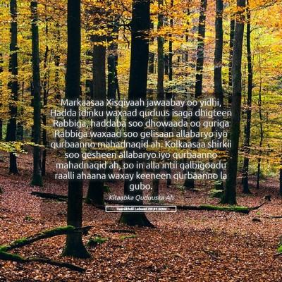 Picture 05 - Taariikhdii Labaad 29:31 SOM - Markaasaa Xisqiyaah jawaabay oo yidhi, Hadda - Bible Verse Picture
