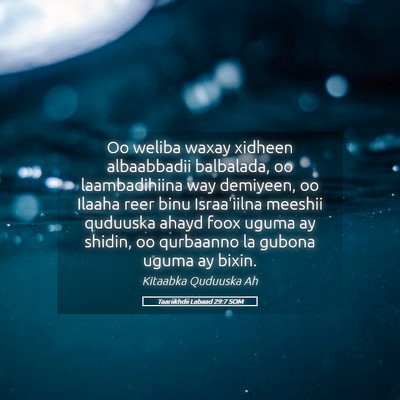 Picture 05 - Taariikhdii Labaad 29:7 SOM - Oo weliba waxay xidheen albaabbadii balbalada, oo - Bible Verse Picture