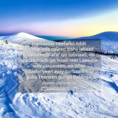 Picture 05 - Taariikhdii Labaad 30:15 SOM - Markaasay neefafkii Iiddii Kormaridda qaleen - Bible Verse Picture