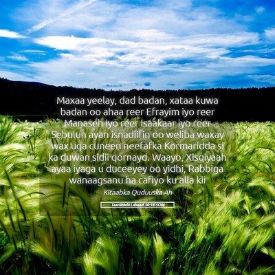 Picture 05 - Taariikhdii Labaad 30:18 SOM - Maxaa yeelay, dad badan, xataa kuwa badan oo ahaa - Bible Verse Picture