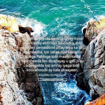 Picture 05 - Taariikhdii Labaad 31:16 SOM - oo weliba waxaa qayb la siiyey kuwii lagu tiriyey - Bible Verse Picture