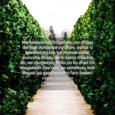 Picture 05 - Taariikhdii Labaad 32:5 SOM - Markaasuu isdhiirrigeliyey, oo dhisay derbigii - Bible Verse Picture