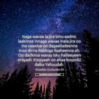 Picture 05 - Taariikhdii Labaad 32:8 SOM - Isaga waxaa la jira binu-aadmi, laakiinse innaga - Bible Verse Picture