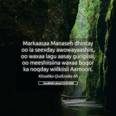 Picture 05 - Taariikhdii Labaad 33:20 SOM - Markaasaa Manaseh dhintay oo la seexday - Bible Verse Picture