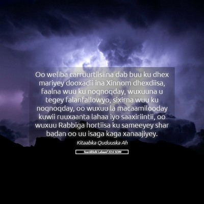 Picture 05 - Taariikhdii Labaad 33:6 SOM - Oo weliba carruurtiisiina dab buu ku dhex mariyey - Bible Verse Picture