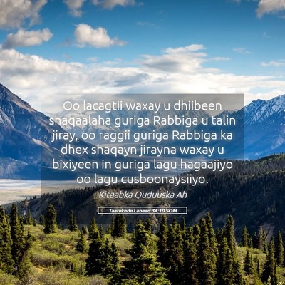 Picture 05 - Taariikhdii Labaad 34:10 SOM - Oo lacagtii waxay u dhiibeen shaqaalaha guriga - Bible Verse Picture