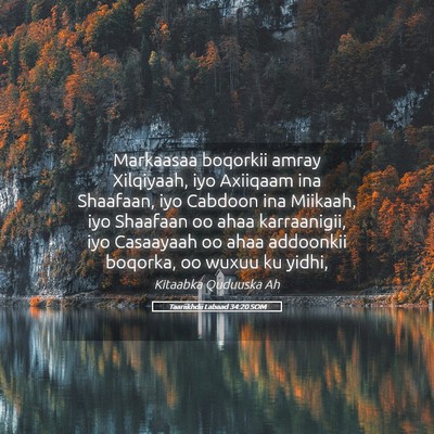 Picture 05 - Taariikhdii Labaad 34:20 SOM - Markaasaa boqorkii amray Xilqiyaah, iyo Axiiqaam - Bible Verse Picture