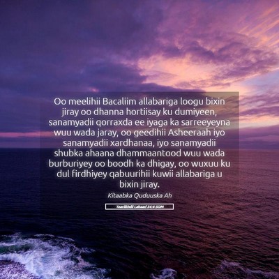 Picture 05 - Taariikhdii Labaad 34:4 SOM - Oo meelihii Bacaliim allabariga loogu bixin jiray - Bible Verse Picture