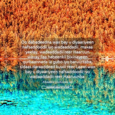 Picture 05 - Taariikhdii Labaad 35:14 SOM - Oo dabadeedna wax bay u diyaariyeen nafsaddoodii - Bible Verse Picture