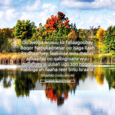 Picture 05 - Taariikhdii Labaad 36:13 SOM - Oo weliba wuxuu ka fallaagoobay Boqor - Bible Verse Picture