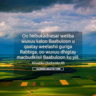 Picture 05 - Taariikhdii Labaad 36:7 SOM - Oo Nebukadnesar weliba wuxuu kaloo Baabuloon u - Bible Verse Picture