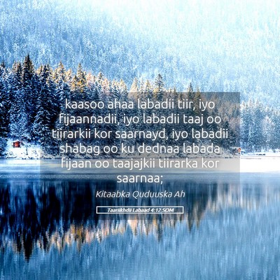 Picture 05 - Taariikhdii Labaad 4:12 SOM - kaasoo ahaa labadii tiir, iyo fijaannadii, iyo - Bible Verse Picture