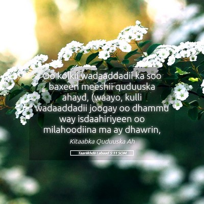Picture 05 - Taariikhdii Labaad 5:11 SOM - Oo kolkii wadaaddadii ka soo baxeen meeshii - Bible Verse Picture