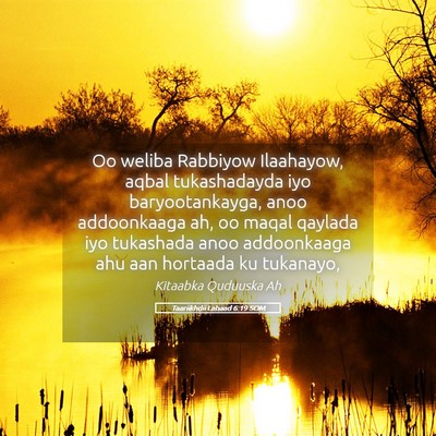 Picture 05 - Taariikhdii Labaad 6:19 SOM - Oo weliba Rabbiyow Ilaahayow, aqbal tukashadayda - Bible Verse Picture