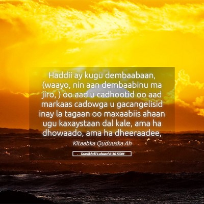 Picture 05 - Taariikhdii Labaad 6:36 SOM - Haddii ay kugu dembaabaan, (waayo, nin aan - Bible Verse Picture