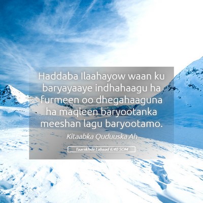Picture 05 - Taariikhdii Labaad 6:40 SOM - Haddaba Ilaahayow waan ku baryayaaye indhahaagu - Bible Verse Picture