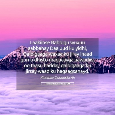 Picture 05 - Taariikhdii Labaad 6:8 SOM - Laakiinse Rabbigu wuxuu aabbahay Daa'uud ku - Bible Verse Picture