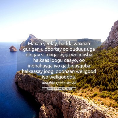 Picture 05 - Taariikhdii Labaad 7:16 SOM - Maxaa yeelay, hadda waxaan gurigan u doortay oo - Bible Verse Picture