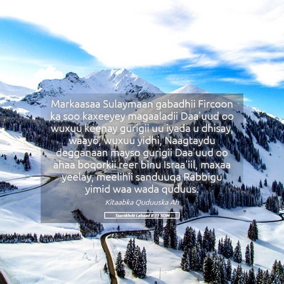 Picture 05 - Taariikhdii Labaad 8:11 SOM - Markaasaa Sulaymaan gabadhii Fircoon ka soo - Bible Verse Picture