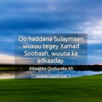 Picture 05 - Taariikhdii Labaad 8:3 SOM - Oo haddana Sulaymaan wuxuu tegey Xamad Soobaah, - Bible Verse Picture
