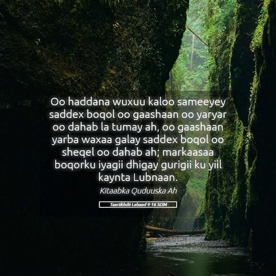 Picture 05 - Taariikhdii Labaad 9:16 SOM - Oo haddana wuxuu kaloo sameeyey saddex boqol oo - Bible Verse Picture