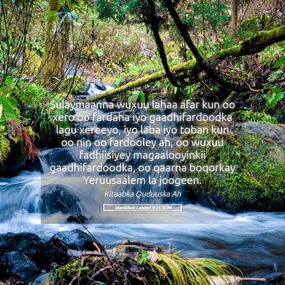 Picture 05 - Taariikhdii Labaad 9:25 SOM - Sulaymaanna wuxuu lahaa afar kun oo xero oo - Bible Verse Picture