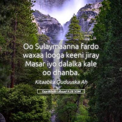 Picture 05 - Taariikhdii Labaad 9:28 SOM - Oo Sulaymaanna fardo waxaa looga keeni jiray - Bible Verse Picture