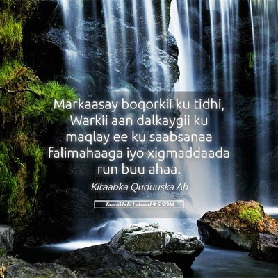 Picture 05 - Taariikhdii Labaad 9:5 SOM - Markaasay boqorkii ku tidhi, Warkii aan dalkaygii - Bible Verse Picture