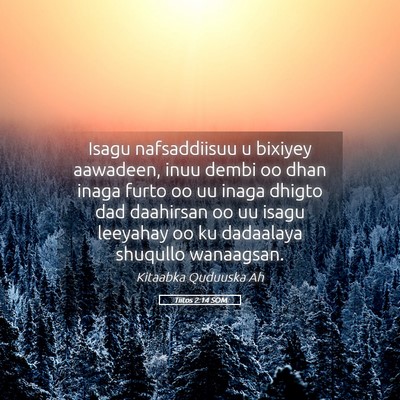 Picture 05 - Tiitos 2:14 SOM - Isagu nafsaddiisuu u bixiyey aawadeen, inuu dembi - Bible Verse Picture