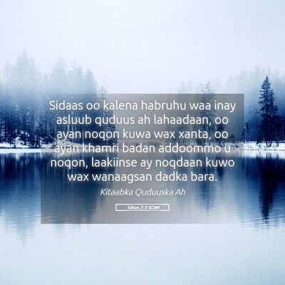 Picture 05 - Tiitos 2:3 SOM - Sidaas oo kalena habruhu waa inay asluub quduus - Bible Verse Picture