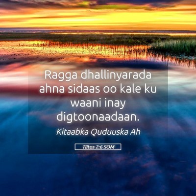 Picture 05 - Tiitos 2:6 SOM - Ragga dhallinyarada ahna sidaas oo kale ku waani - Bible Verse Picture