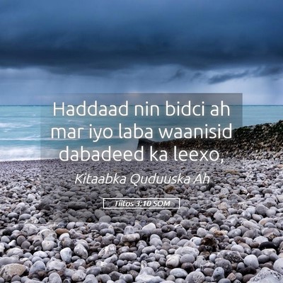 Picture 05 - Tiitos 3:10 SOM - Haddaad nin bidci ah mar iyo laba waanisid - Bible Verse Picture