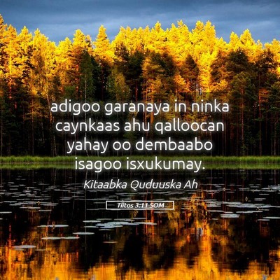 Picture 05 - Tiitos 3:11 SOM - adigoo garanaya in ninka caynkaas ahu qalloocan - Bible Verse Picture