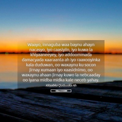 Picture 05 - Tiitos 3:3 SOM - Waayo, innaguba waa baynu ahayn nacasyo, iyo - Bible Verse Picture
