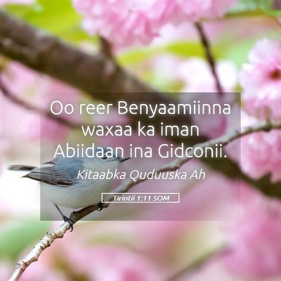 Picture 05 - Tirintii 1:11 SOM - Oo reer Benyaamiinna waxaa ka iman Abiidaan ina - Bible Verse Picture