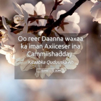 Picture 05 - Tirintii 1:12 SOM - Oo reer Daanna waxaa ka iman Axiiceser ina - Bible Verse Picture