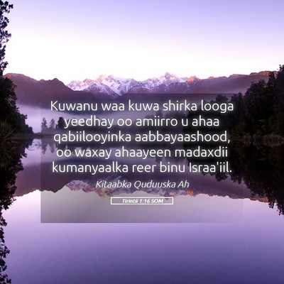 Picture 05 - Tirintii 1:16 SOM - Kuwanu waa kuwa shirka looga yeedhay oo amiirro u - Bible Verse Picture