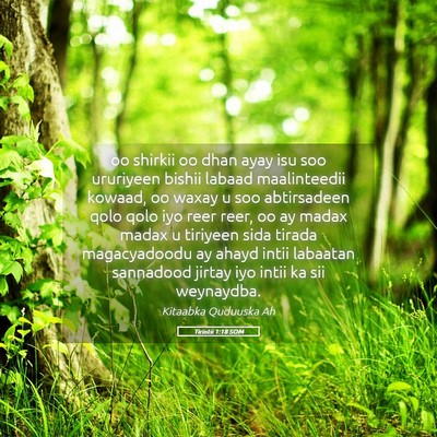 Picture 05 - Tirintii 1:18 SOM - oo shirkii oo dhan ayay isu soo ururiyeen bishii - Bible Verse Picture