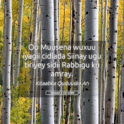 Picture 05 - Tirintii 1:19 SOM - Oo Muusena wuxuu iyagii cidlada Siinay ugu - Bible Verse Picture