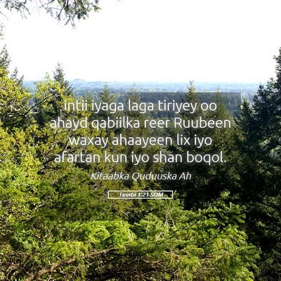 Picture 05 - Tirintii 1:21 SOM - intii iyaga laga tiriyey oo ahayd qabiilka reer - Bible Verse Picture
