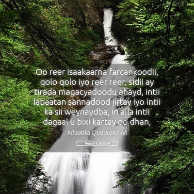 Picture 05 - Tirintii 1:28 SOM - Oo reer Isaakaarna farcankoodii, qolo qolo iyo - Bible Verse Picture