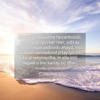 Picture 05 - Tirintii 1:30 SOM - Oo reer Sebulunna farcankoodii, qolo qolo iyo - Bible Verse Picture