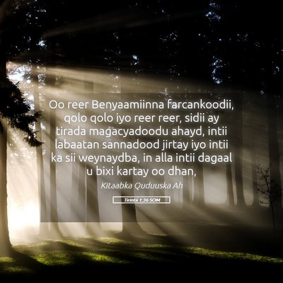 Picture 05 - Tirintii 1:36 SOM - Oo reer Benyaamiinna farcankoodii, qolo qolo iyo - Bible Verse Picture