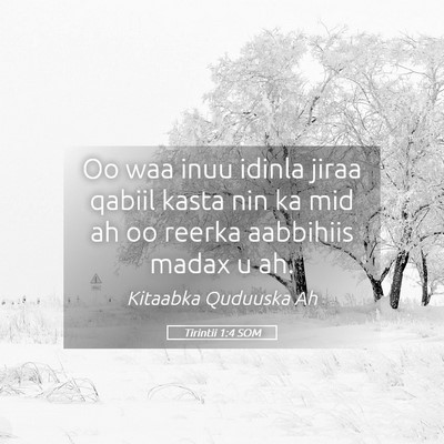 Picture 05 - Tirintii 1:4 SOM - Oo waa inuu idinla jiraa qabiil kasta nin ka mid - Bible Verse Picture
