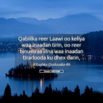 Picture 05 - Tirintii 1:49 SOM - Qabiilka reer Laawi oo keliya waa inaadan tirin, - Bible Verse Picture