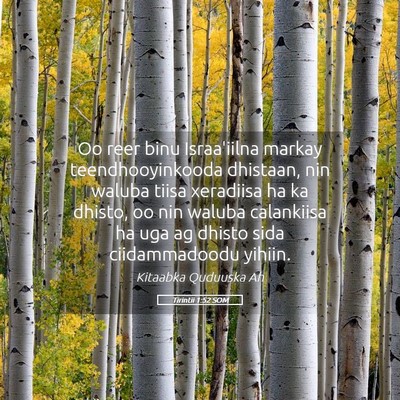 Picture 05 - Tirintii 1:52 SOM - Oo reer binu Israa'iilna markay teendhooyinkooda - Bible Verse Picture